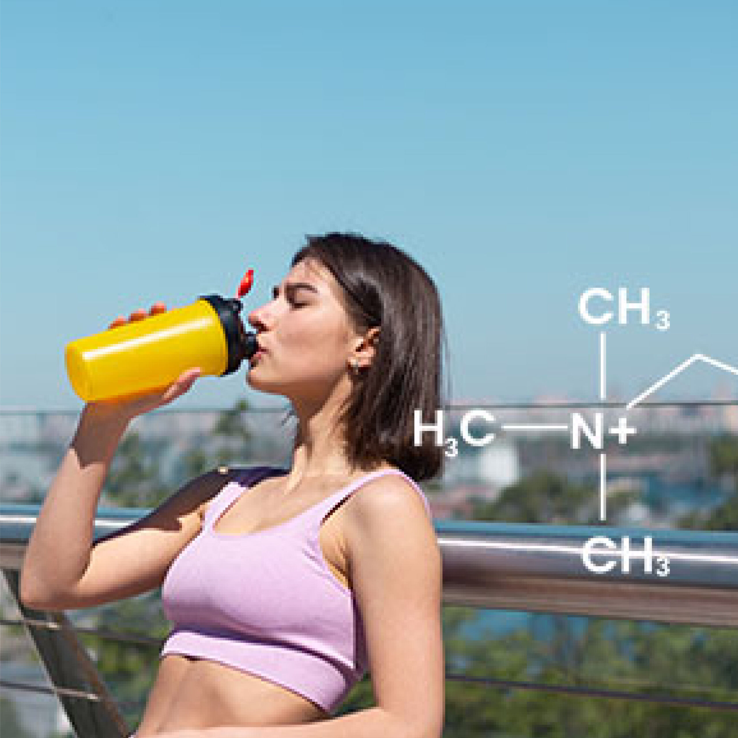 Read more about the article What’s L-Carnitine?